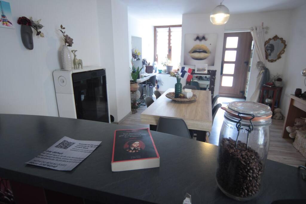 Appartement 90 M2 Vic-sur-Seille Kültér fotó