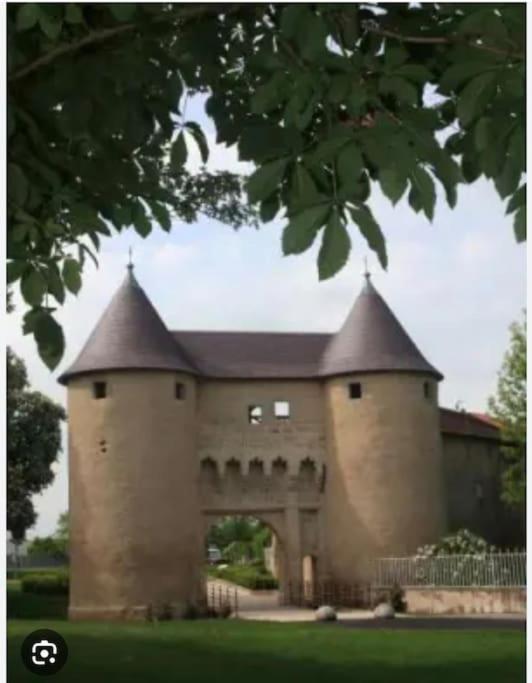 Appartement 90 M2 Vic-sur-Seille Kültér fotó